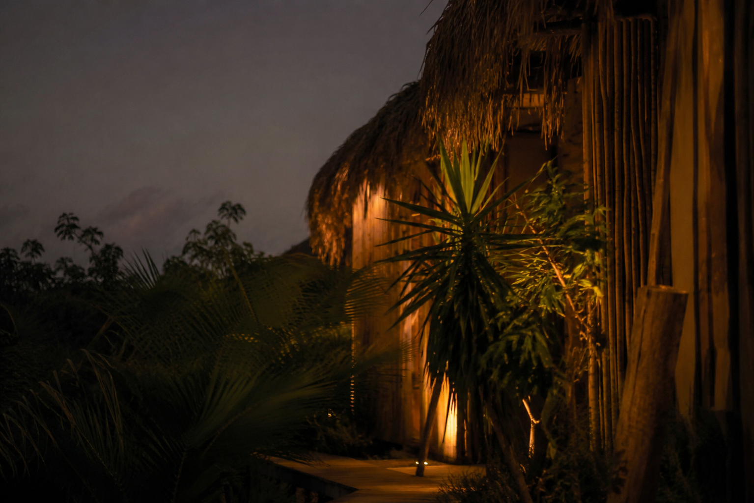 Amazonia