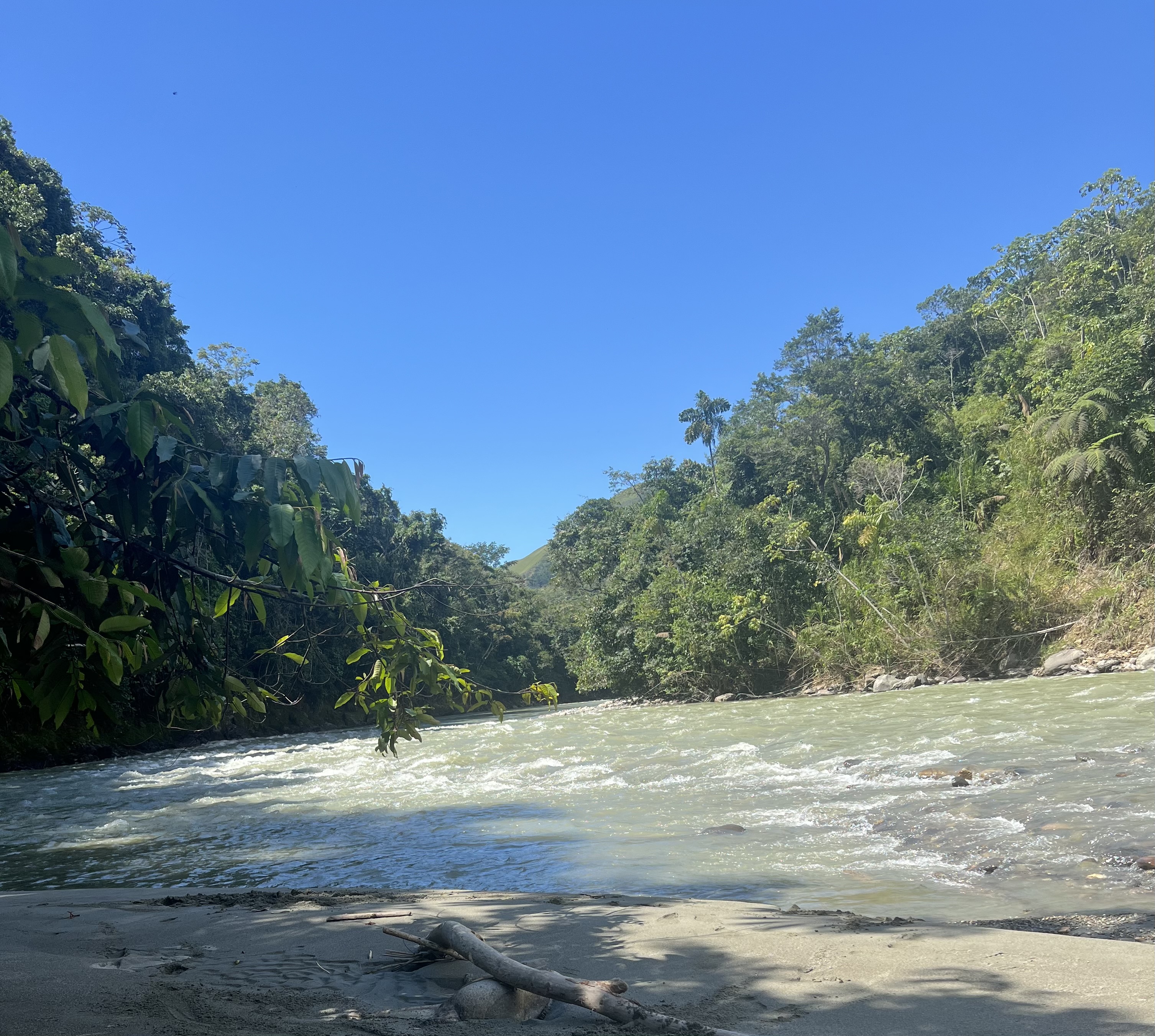 Amazonia