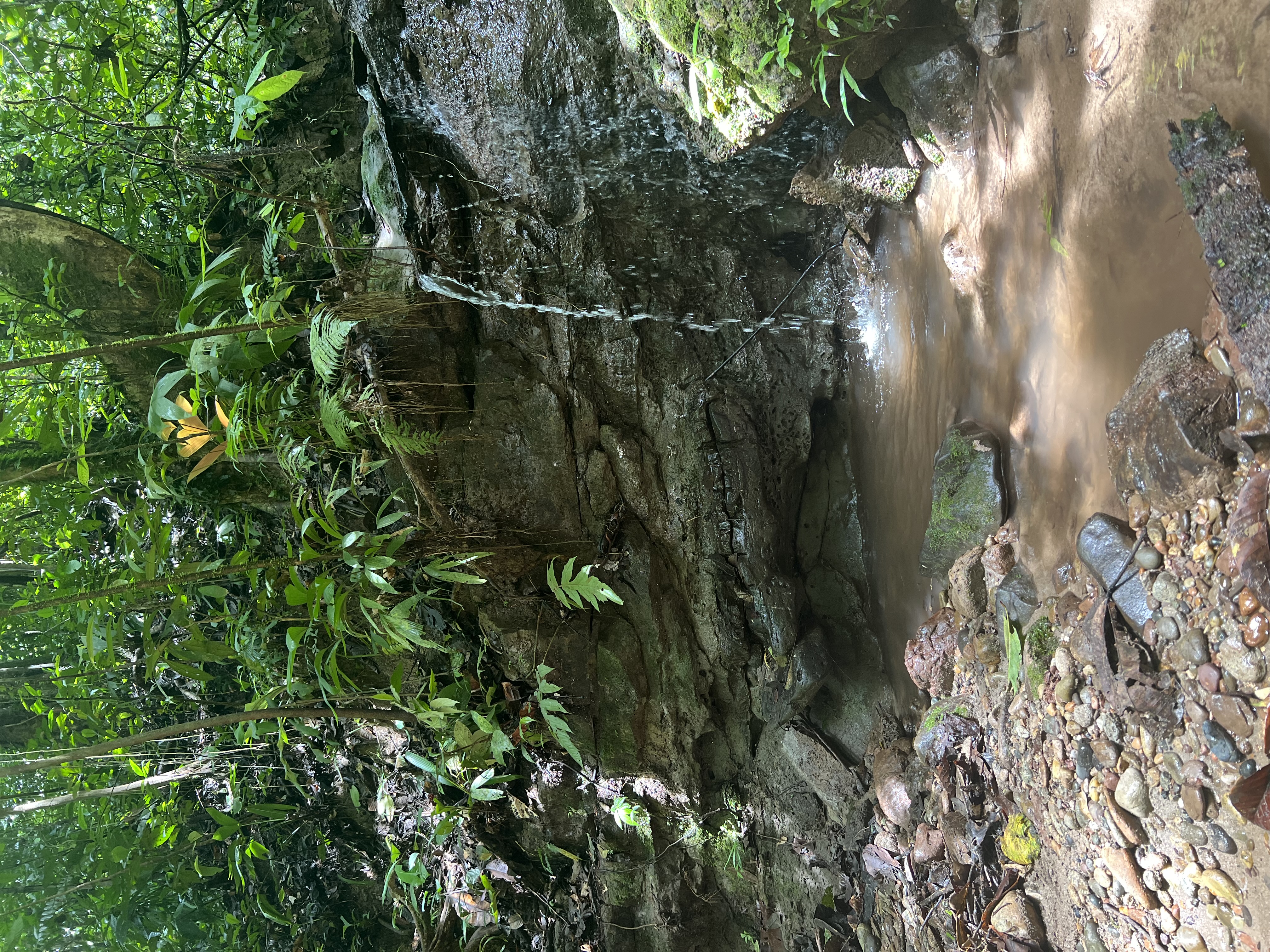 Amazonia