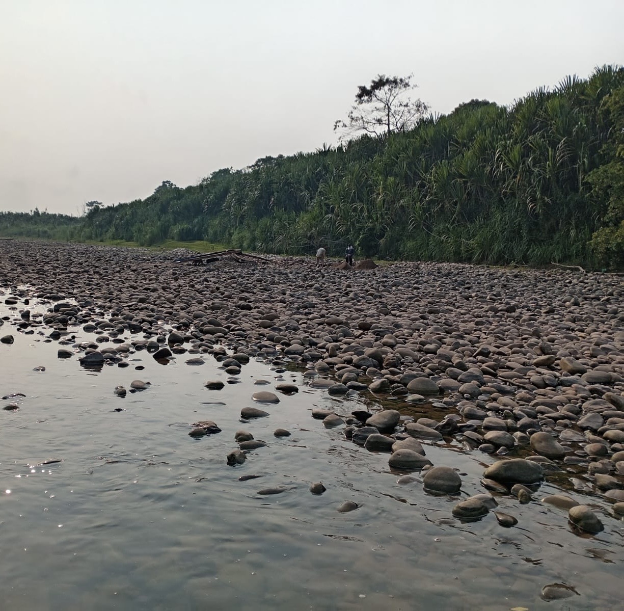 Amazonia