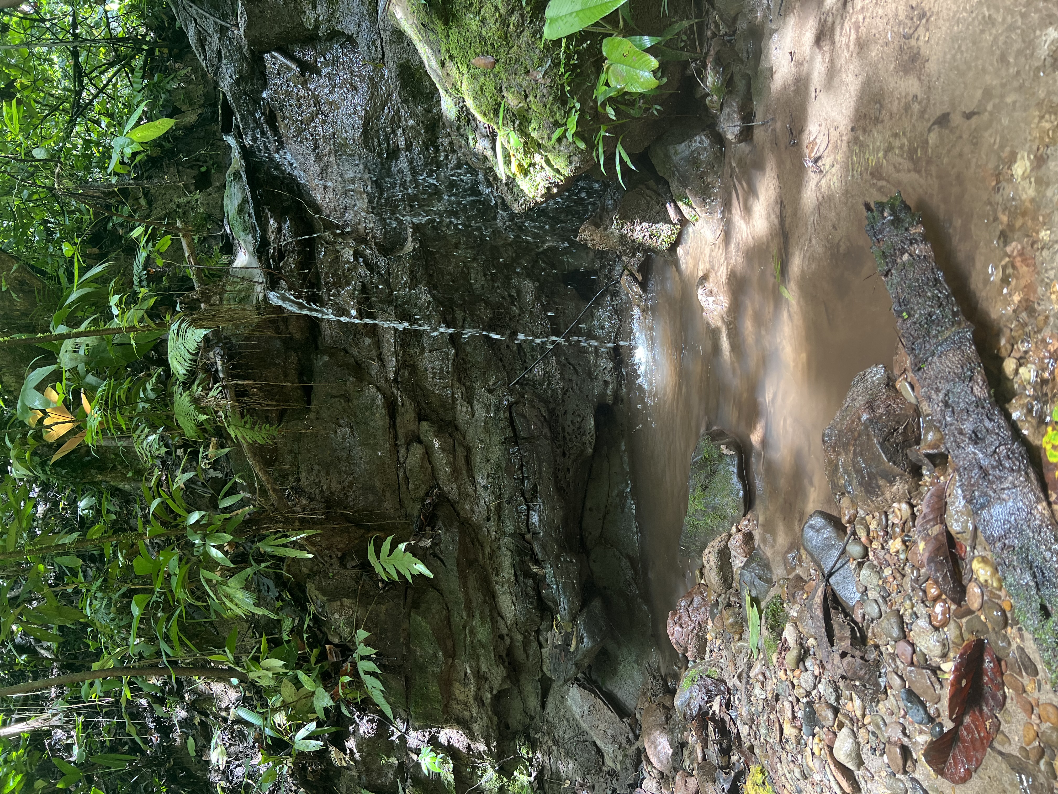 Amazonia