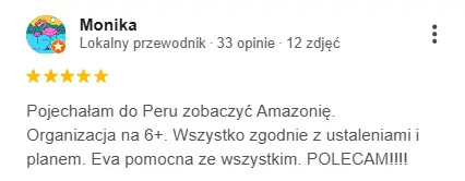 Opinia Google Moniki: organizacja na 6+, wszystko zgodnie z ustaleniami i planem